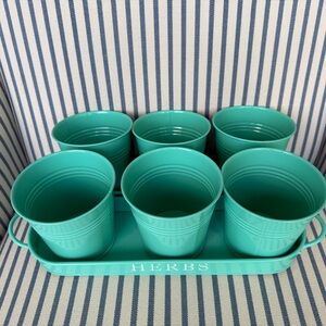 Teal Herb Planter Set